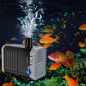 Aquarium-Wasserpumpe erzeugt Blasen in einem Aquarium mit bunten tropischen Fischen und Pflanzen. Im Vordergrund ist eine kompakte schwarze Pumpe zu sehen.