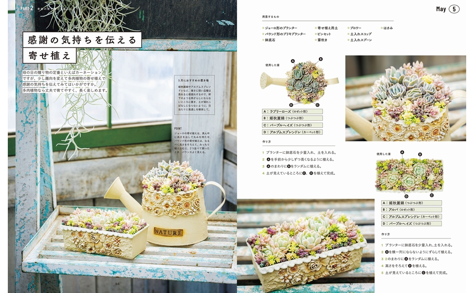 Amazon.co.jp: 365日いつからでも始められる！ 多肉植物寄せ植え手帖