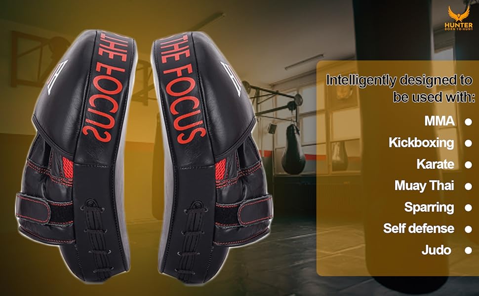 Punching Mitts 