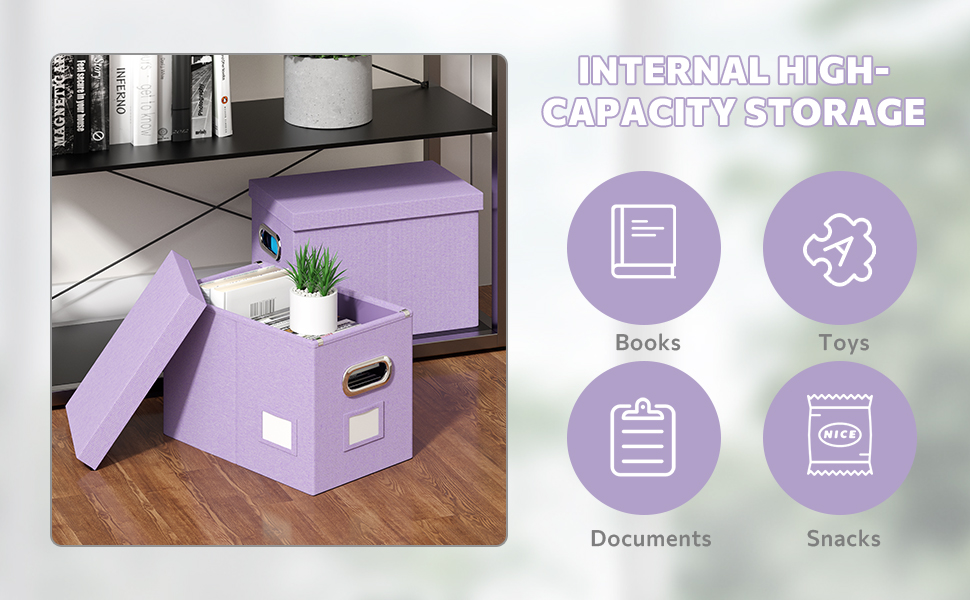 DYWMM File Folder Organizer Set of 2 Collapsible