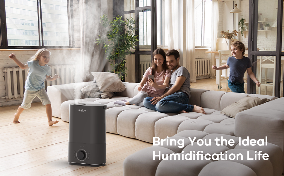 WELOV Humidifiers for Bedroom, 1 Gallon Tank Cool Mist