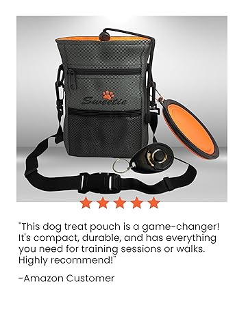 Sweetie Bungee Dog Lead - Shock Absorbing Leash that Softens Pulls & Stops – Neoprene Padded Loop & Traffic Handles for Extra Comfort - Reflective for Safer Night Walking 15 All-in-one dog walking kit, including lead, collar, and treat bag for complete control