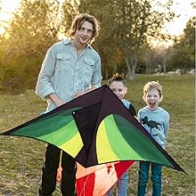 kite flyingkite flying