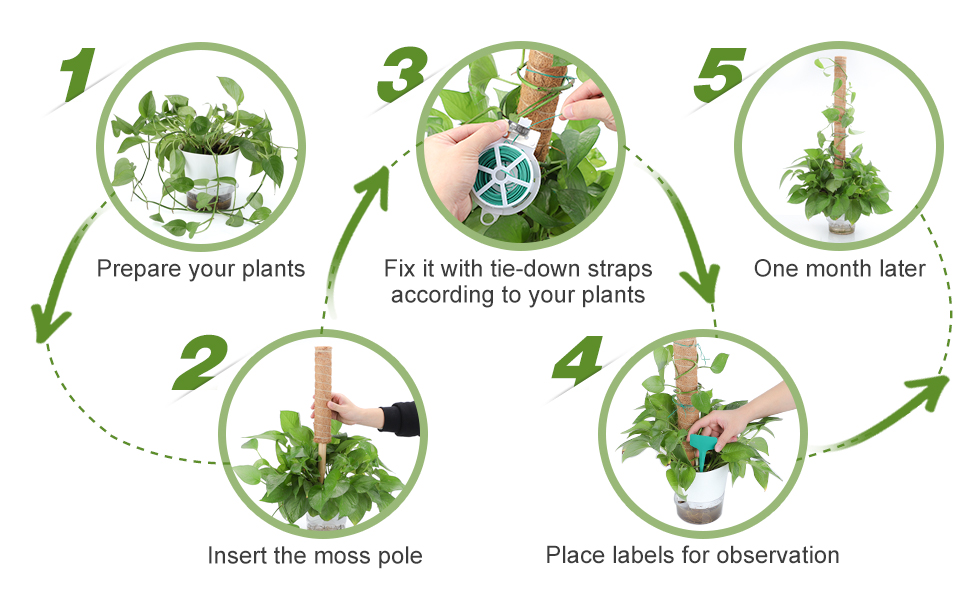 Bendable Moss Pole for Plants 48 Inch Moss Poles for