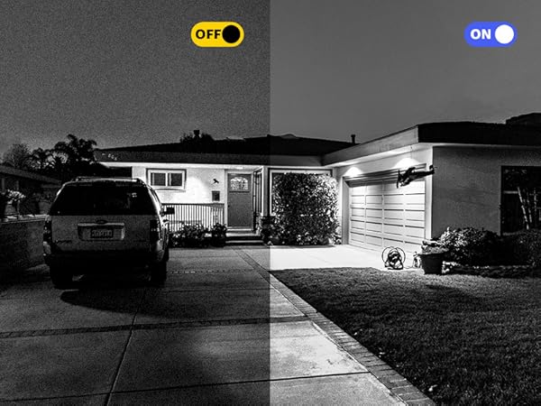  3D DNR Be Invulnerable to Noise 