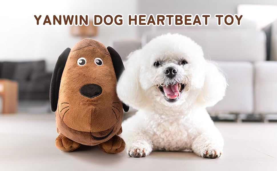 separation anxiety relief for dogs