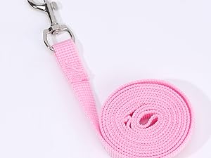 cat harness and leash
