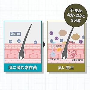 Proust Foot Cream 40g 4本セット Amazon.co.jp: 【公式】プルーストフットクリーム 医薬部外品 無