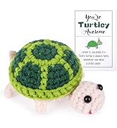 Positive Turtle with Affirmation Card, Crochet for Turtle Lovers, Funny Emotional Support Positiv...