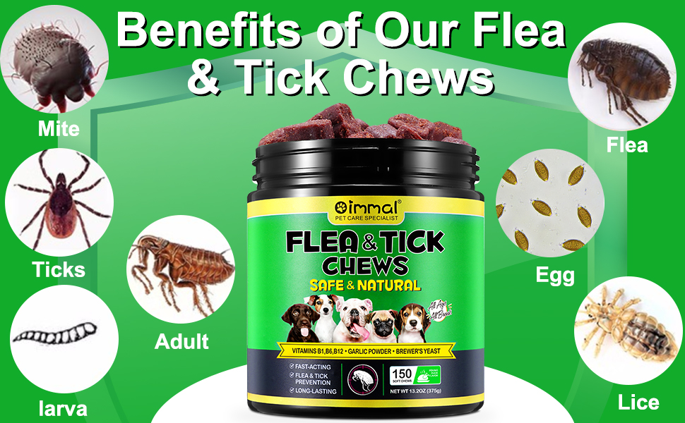 flea and tick preventions for dog