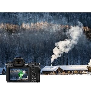 Amazon | Megadap ETZ21 Pro FE マウントレンズ → Zマウント