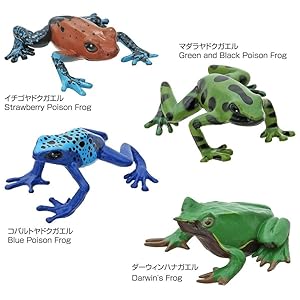 Amazon | カロラータ カエル 立体図鑑 ( フロッグ / 16種 / 解説