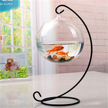 Amazon | 水槽 金魚鉢 ガラス アクアリウム サスペンション 丸型