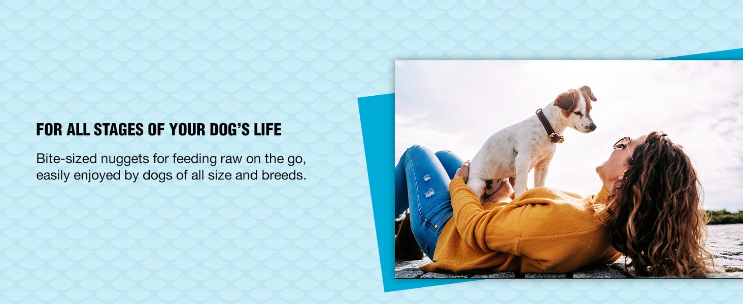 FOR ALL STAGES OF YOUR DOG'S LIFE. Bite-sized nuggets for feeding raw on the go.