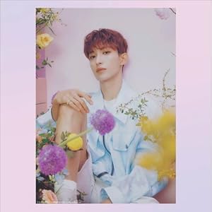 Seventeen OFFICIAL | 2025 7 x 14 Inch Monthly Mini Wall