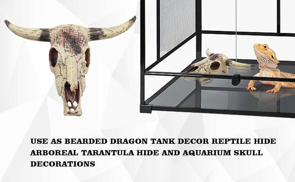 Bearded Dragon Tank Decor