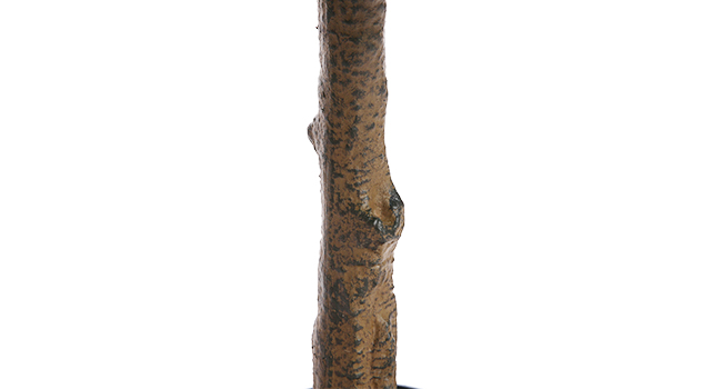 Large manufacture image 5