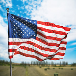 Small manufacture image 6