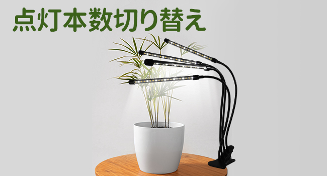 Amazon.co.jp: 植物育成ライト led スタンド 3ヘッド 126 LED