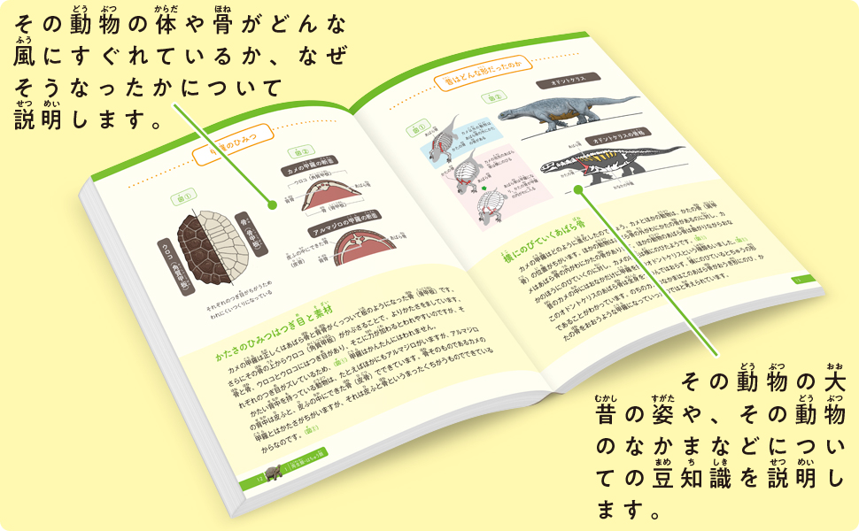 カメの甲羅はあばら骨 ジュニア版 人体で表す動物図鑑 カメの甲羅はあばら骨 ジュニア版 人体で表す動物図鑑 | 川崎