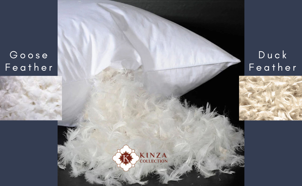 KINZA COLLECTION Natural 100 DUCK FEATHER Pillows (Pack of 2