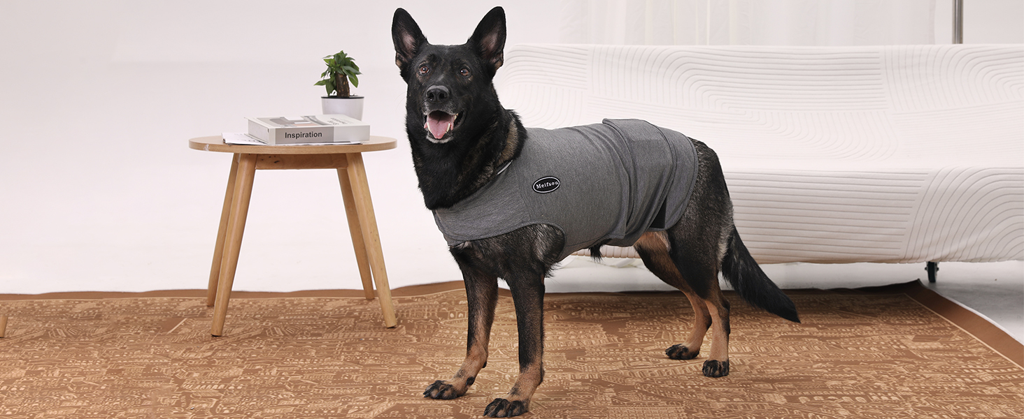 anxiety shirt for dogs