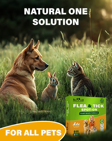 natural flea tick prevenetion for dogs cats control collar drops repellent support large small
