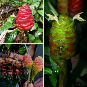 Small manufacture image 4