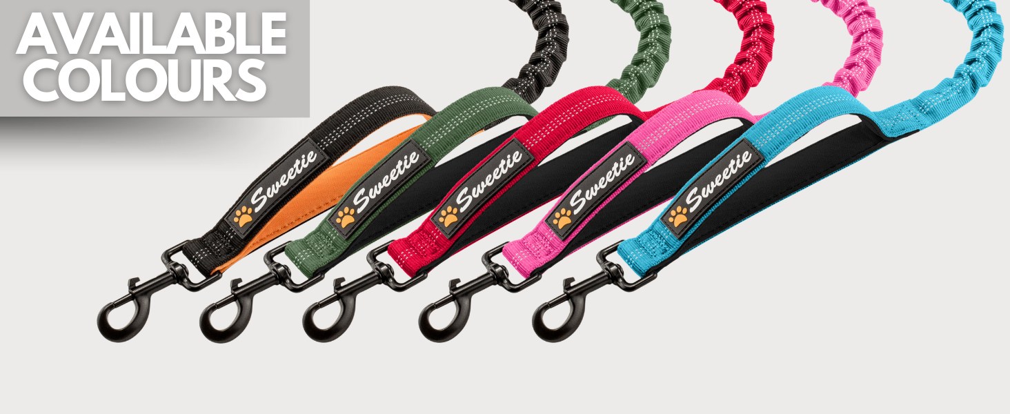 bungee dog leads for large dogs anti shock dog lead bungee dog leads zero shock dog lead