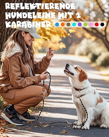 Produktwerbung für reflektierende Hundeleinen, die einen weiß-braunen Hund zeigt, der auf einem herbstlichen Weg sitzt, mit farbigen Punkten, die auf verfügbare Optionen hinweisen.
