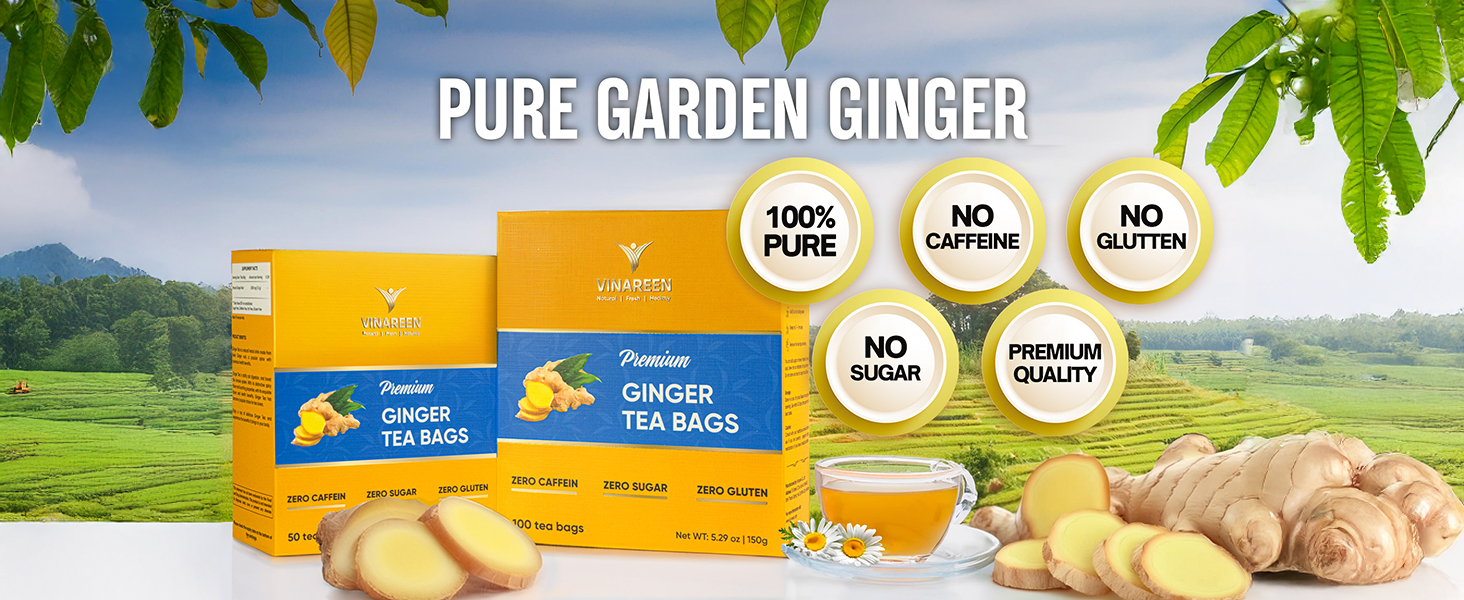 ginger tea; ginger tea bags; ginger tea organic; organic tea bags; organic ginger tea; te de gengibr