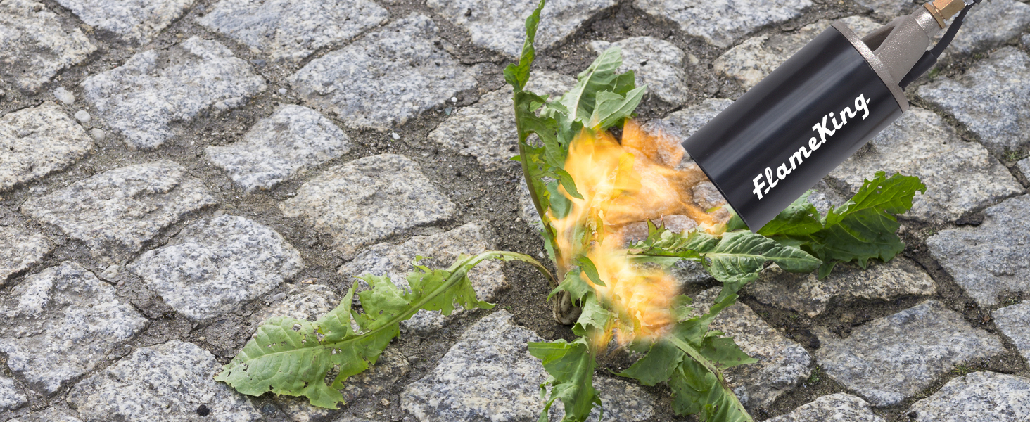 Flame King Propane Torch Kit Heavy Duty Weed Burner, 340,000 BTU with Piezo Igniter