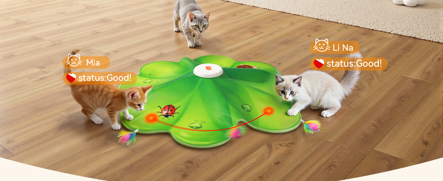 cat toys