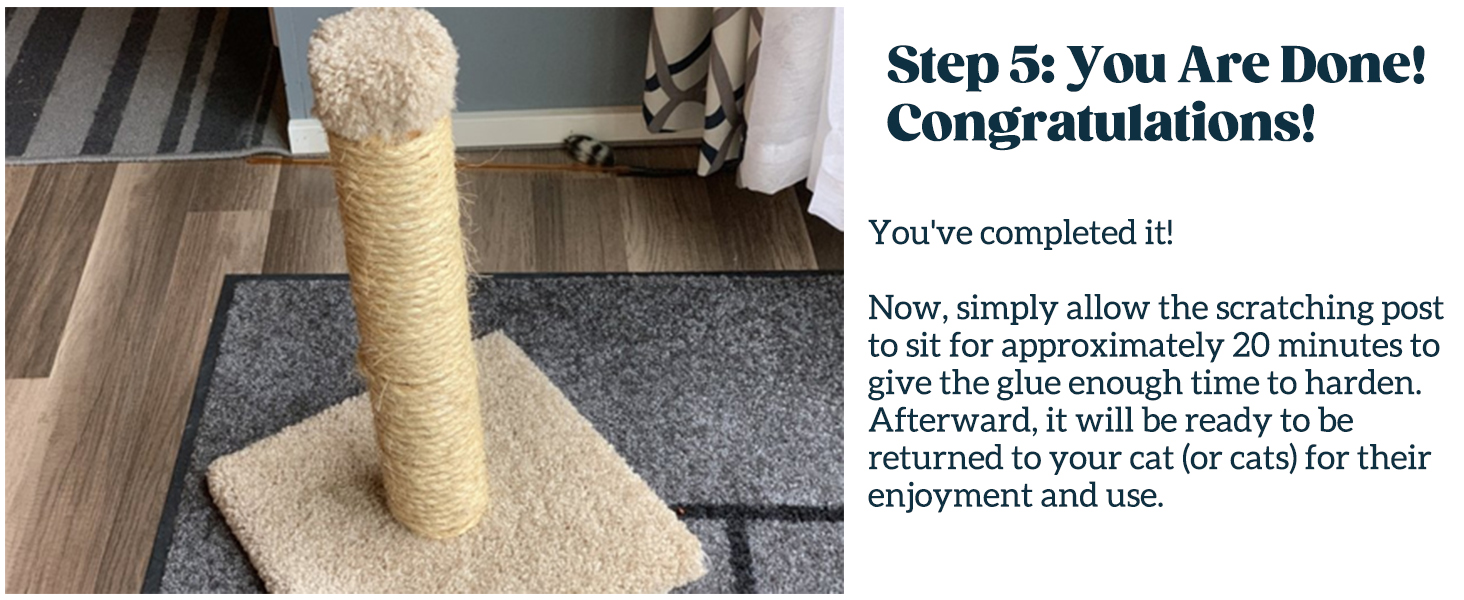 cat scratching posts