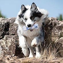 歯磨きボール4 迷彩ブルー