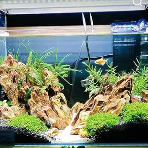 Small manufacture image 2