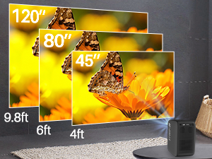 projection size