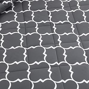 HOMBYS Ultra Soft Microfiber Reversible Bedding Sets for King Bed
| HOMBYS Down Alternative Comforter with 2 Pillow Ec5a8386 A6ab 45a2 B05c 4ccb276f1908. CR0,0,2000,2000 PT0 SX300 V1