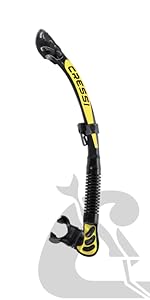 snorkel, dry snorkel, cressi snorkel, best snorkel