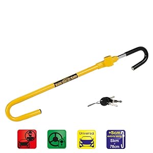 301000 pedal lock