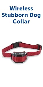 wireless collar dog