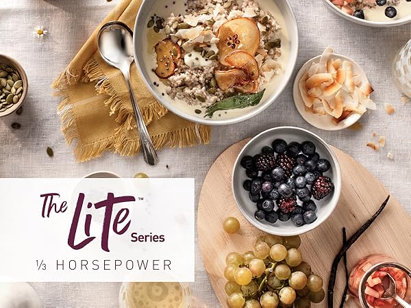 Moen Lite Series Garbage Disposal