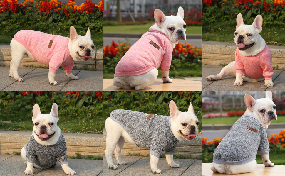 Haustier Katze Hundepullover