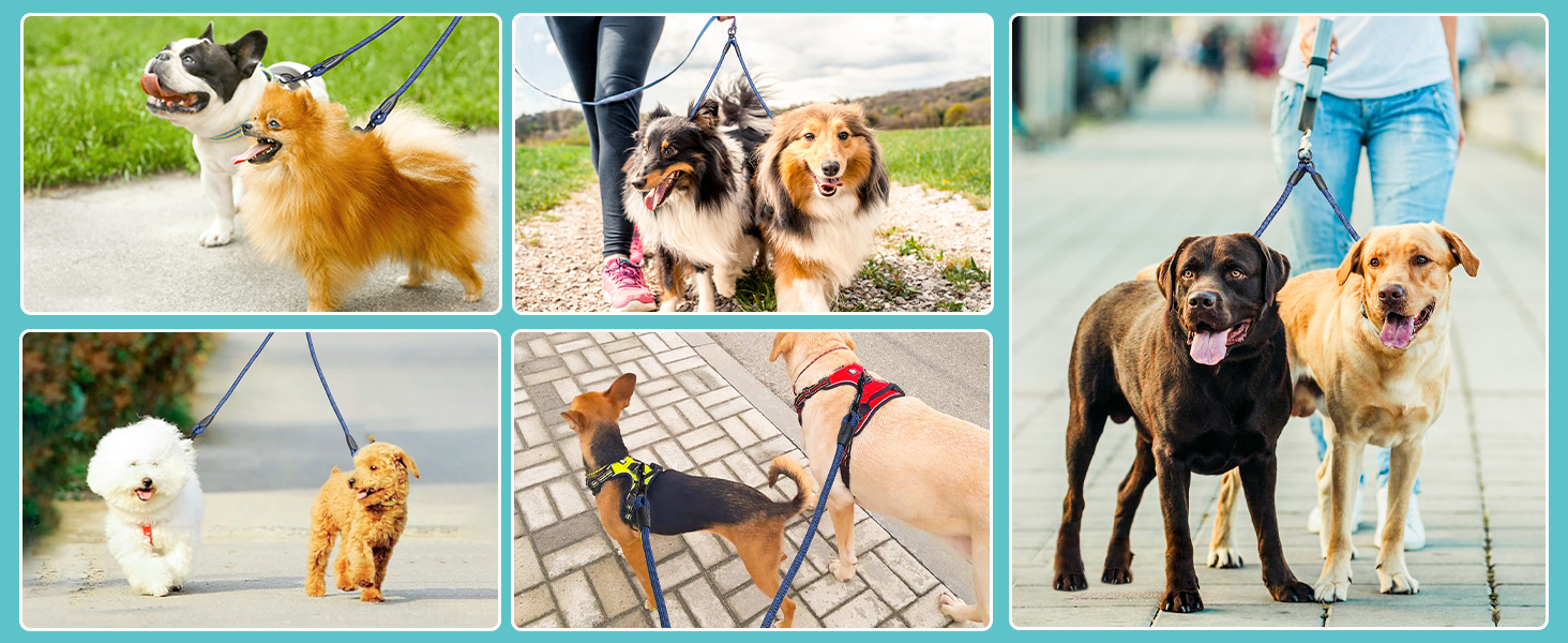 Doppelte Leine für 2 Hunde