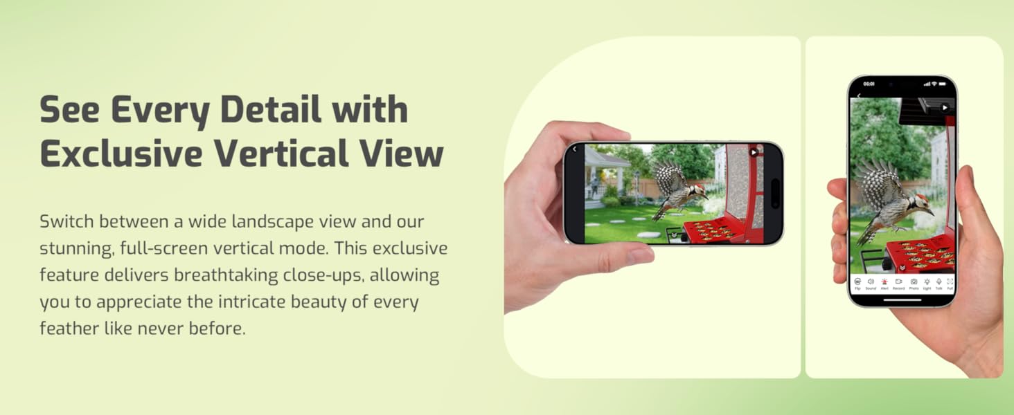 bird feeders with camera for outdoors