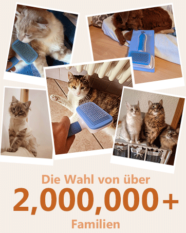 Collage aus Katzen, die mit blauen Fellpflegebürsten interagieren. Verschiedene Rassen werden beim Bürsten oder in der Nähe des Werkzeugs gezeigt. Der Text lautet: 