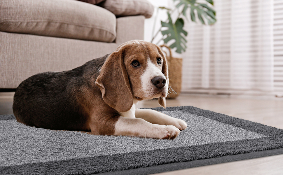 FCSDETAIL Dirt Trapper Indoor Door Mat