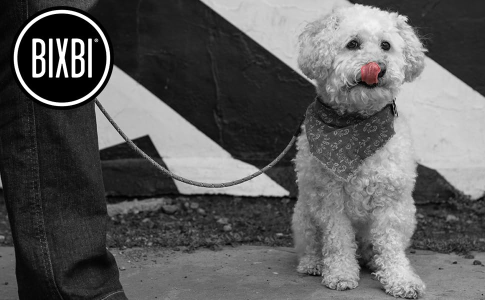 BIXBI Liberty Freeze Dried Dog Food, Lamb Recipe, 20 oz