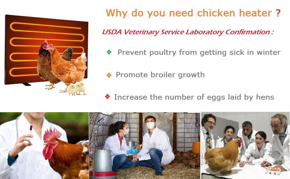 H&G lifestyles Chicken Coop Heater Radiant Heat Chicken Heater Energy