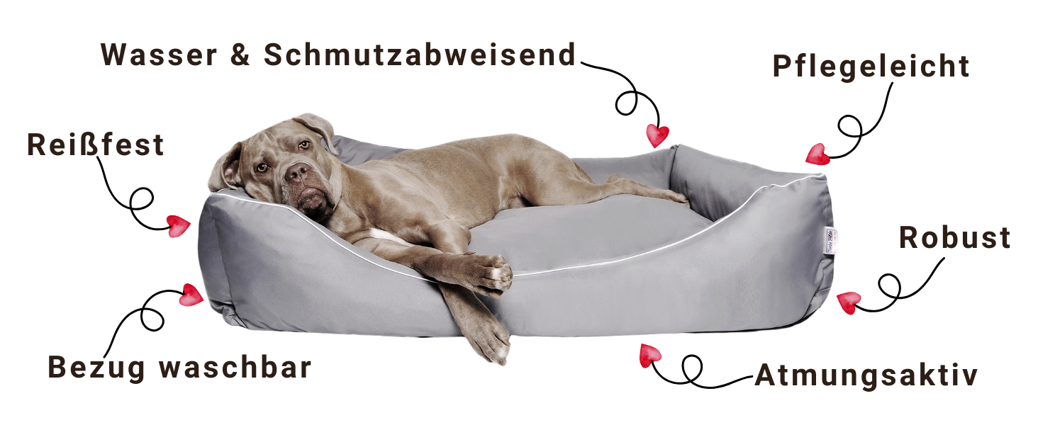 hundebett hundekorb hundenest hundematte hundekissen hundesofa